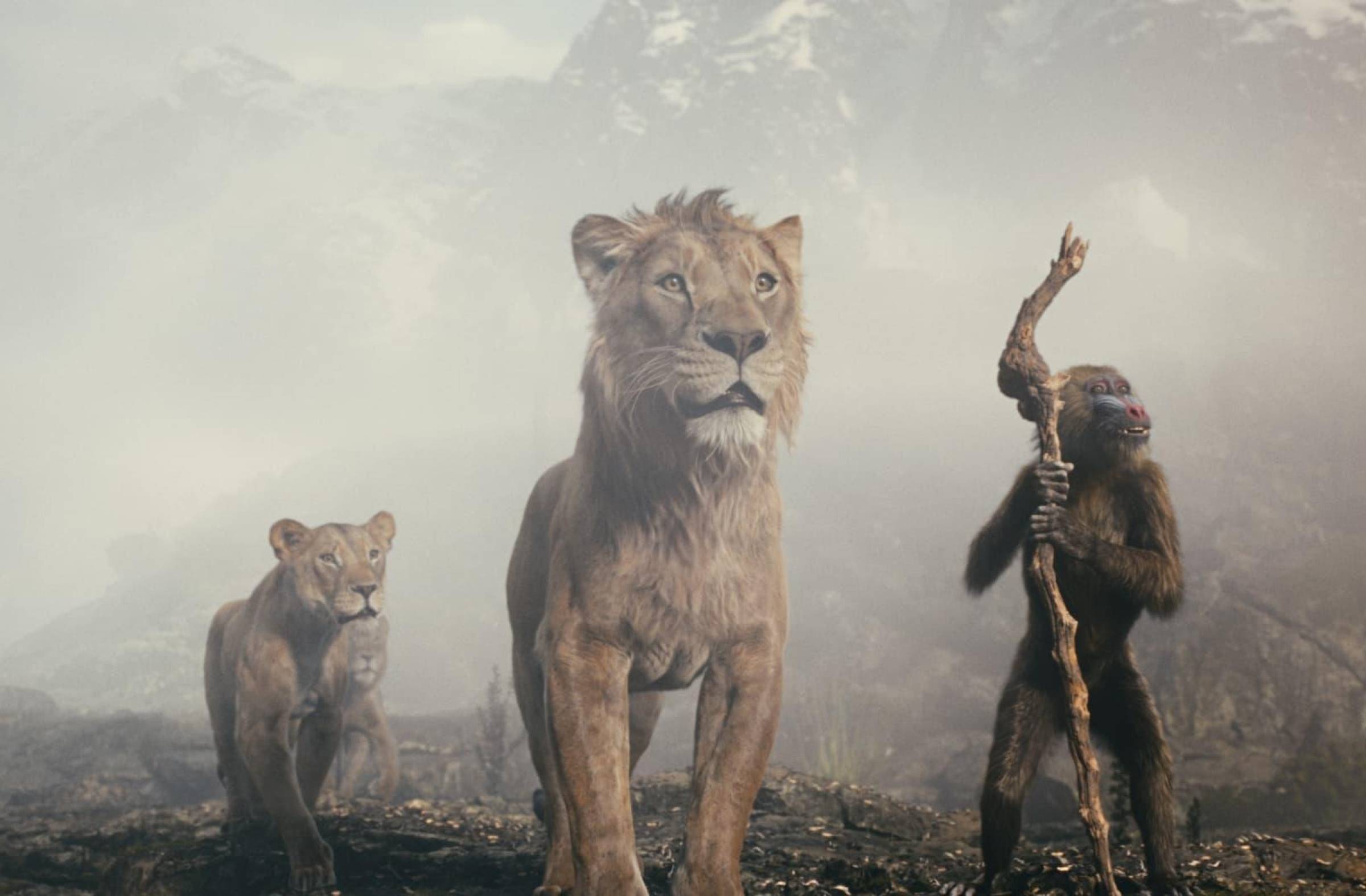 Mufasa