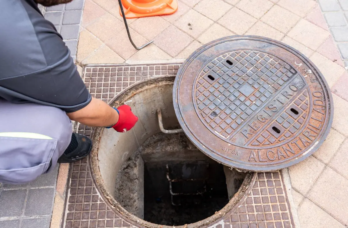     El Ayuntamiento de Boadilla lleva a cabo la campaña para el control de roedores e insectos