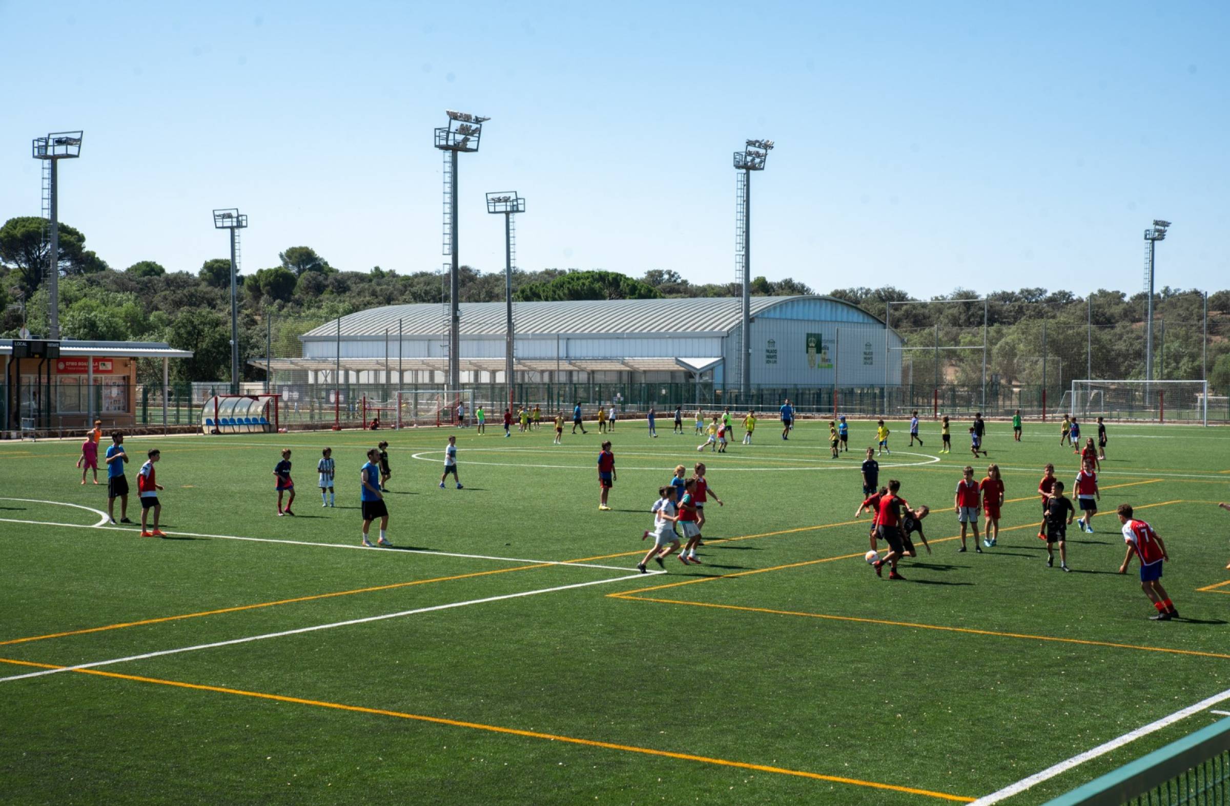 
                                                    Record de inscripciones en las actividades deportivas de Boadilla