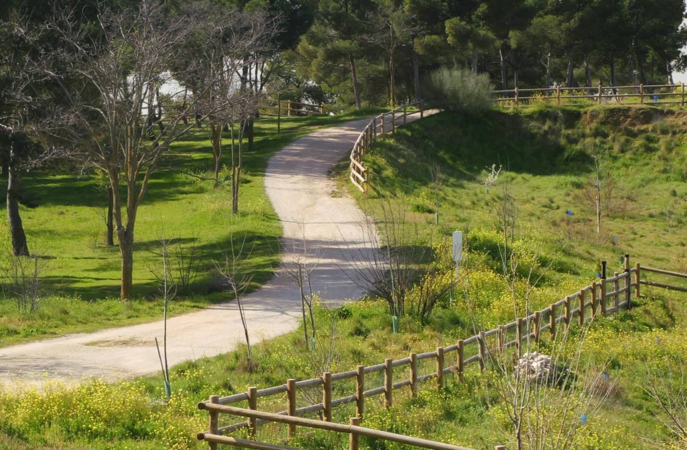 
                                                    Las rutas verdes de Boadilla, Pozuelo y Majadahonda para recorrer a pie o en bicicleta