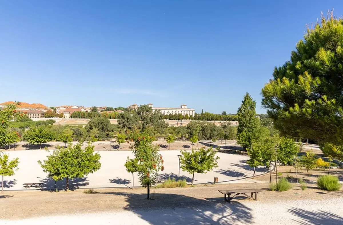 
                                Las fiestas patronales de Boadilla incluirán dos 'parties' gratuitas y sin alcohol para menores de 14 a 17 años                                    
