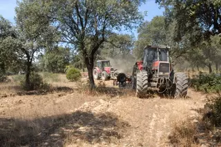 Boadilla ultima los cuidados del Monte Público en la prevención de incendios