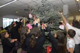 Boadilla reune  a numerosos escolares en un acto contra la violencia de género