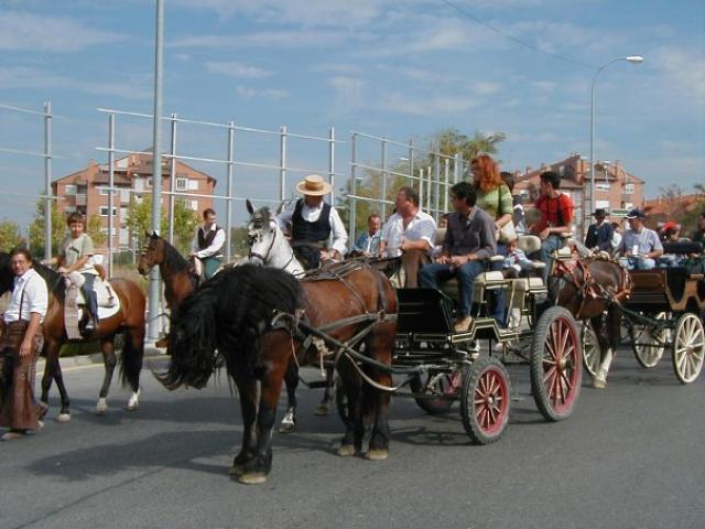 Este sábado, VIII Fiesta del Caballo de Boadilla del Monte