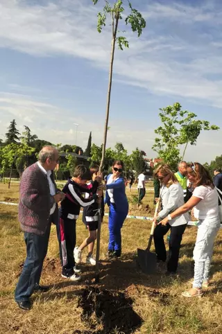 Boadilla celebra su tradicional "Día del Árbol"