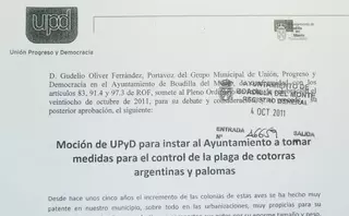UPyD felicita a la Alcaldía por la rapidez en activar la campaña de control de las cotorras argentinas