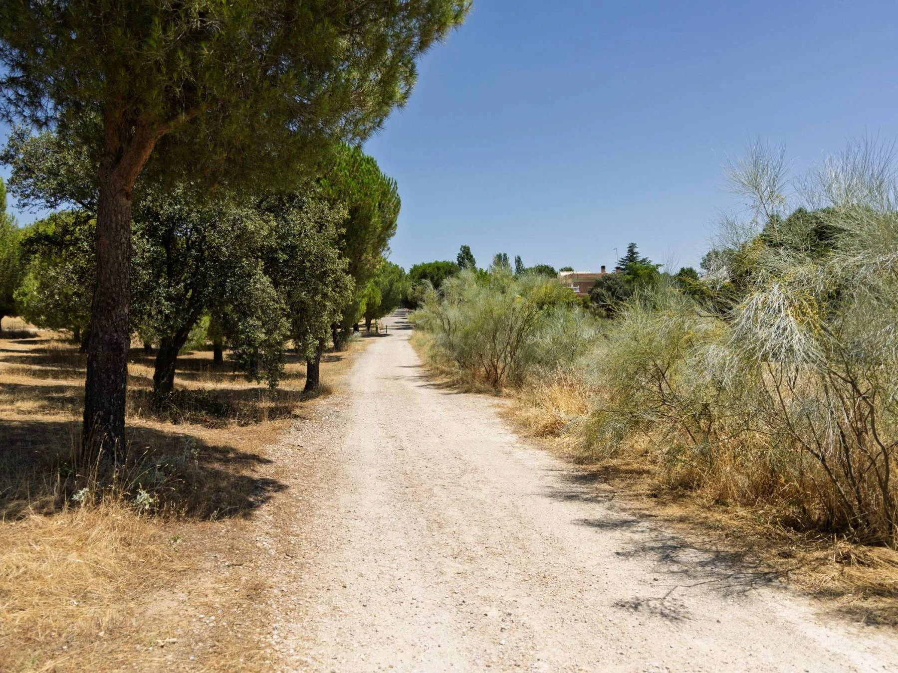 Boadilla ampliará sendas ciclables y carriles bici