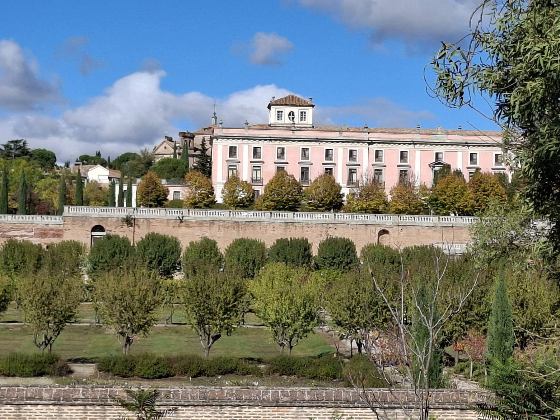 POR QUÉ SE DEJAN PUDRIR LOS FRUTOS DE LA HUERTA DE