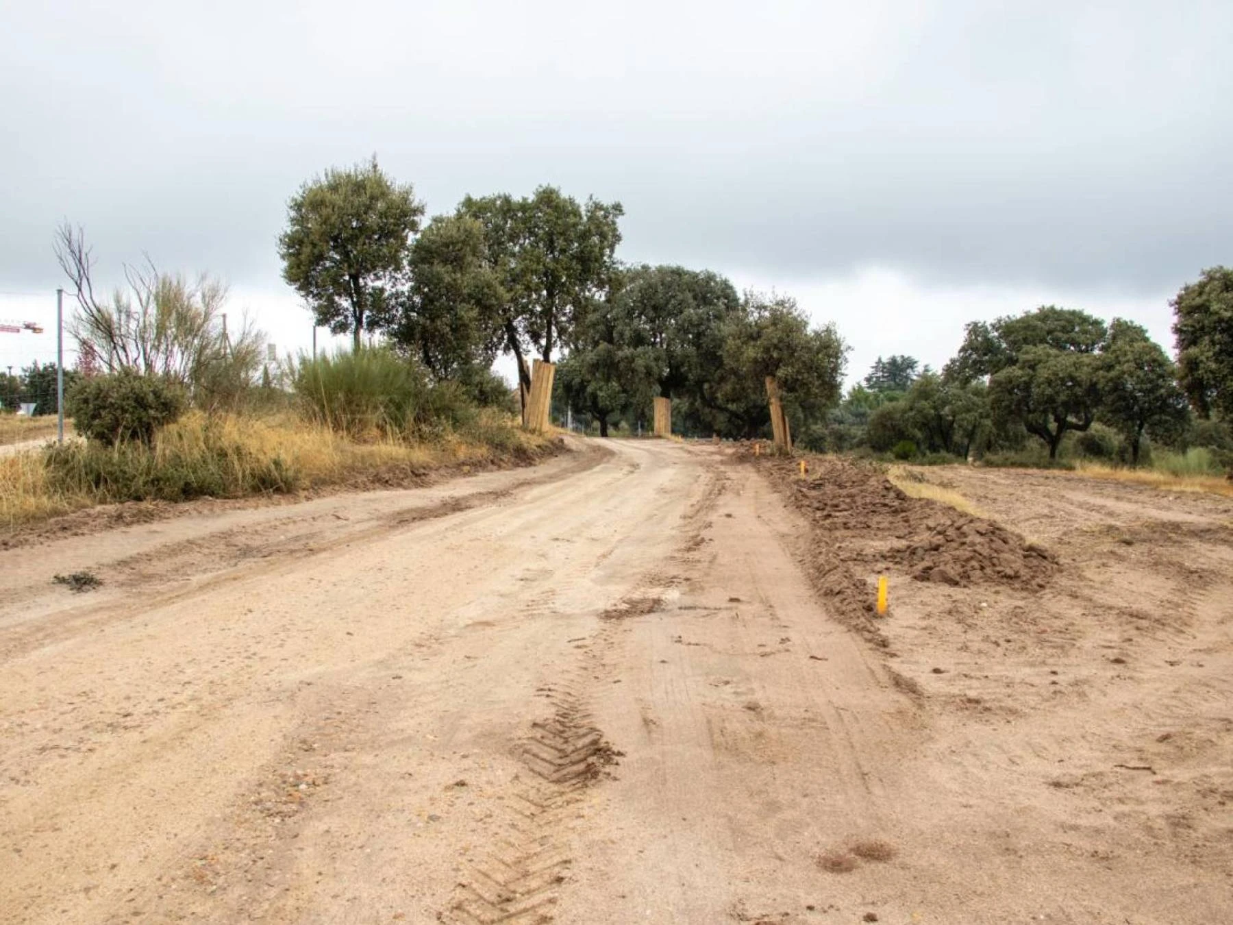 Senda ciclable M516 - M513