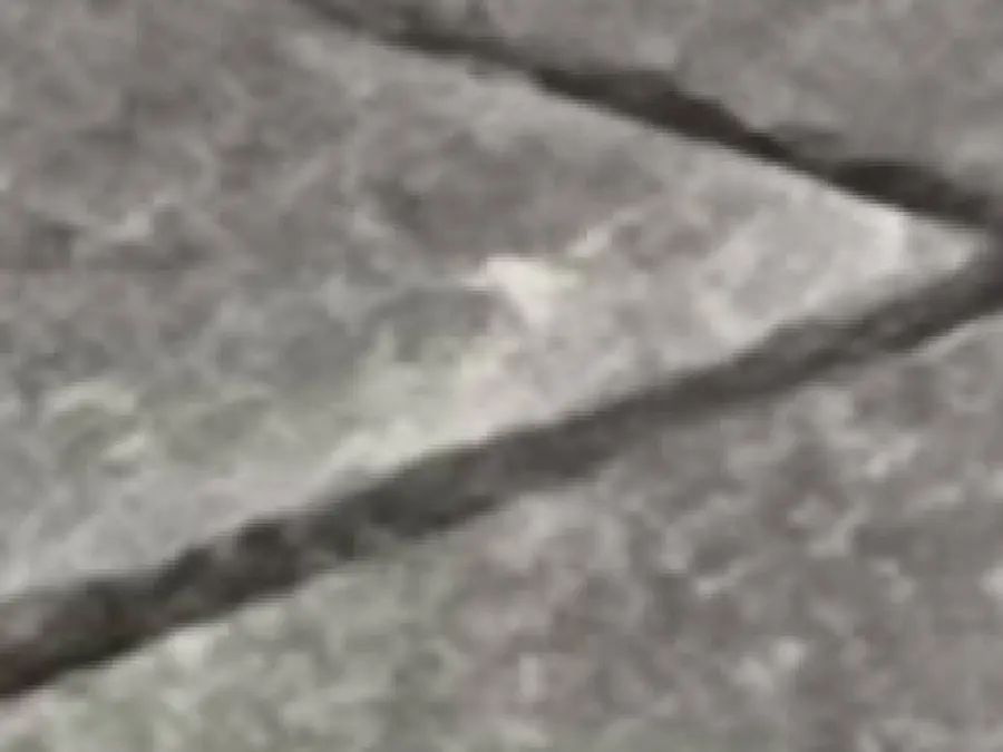 El pastel es un  basurero 