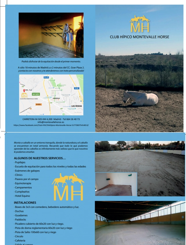 Montar a caballo