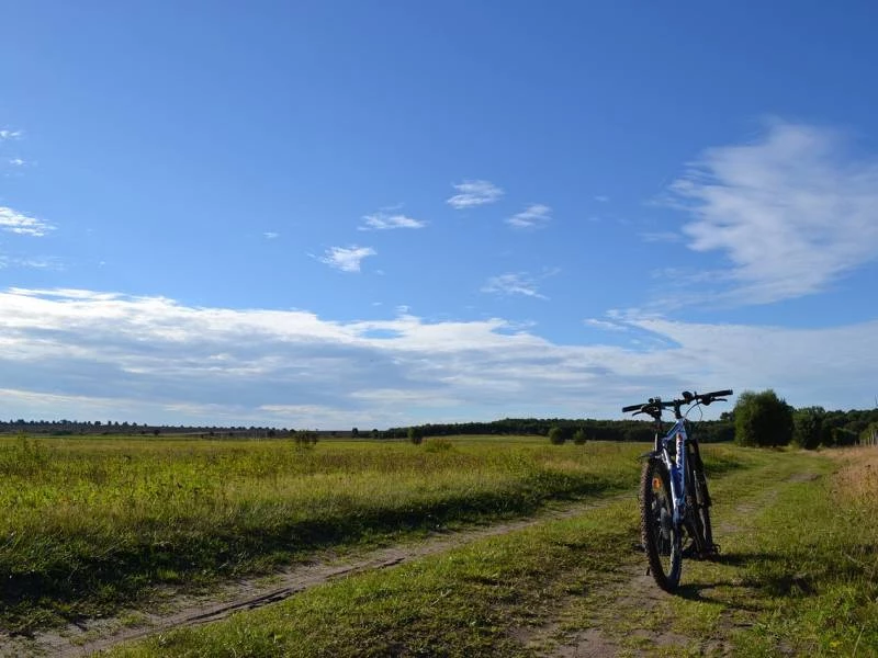 Gente para montar en MTB Las Rozas: Todas las edades 