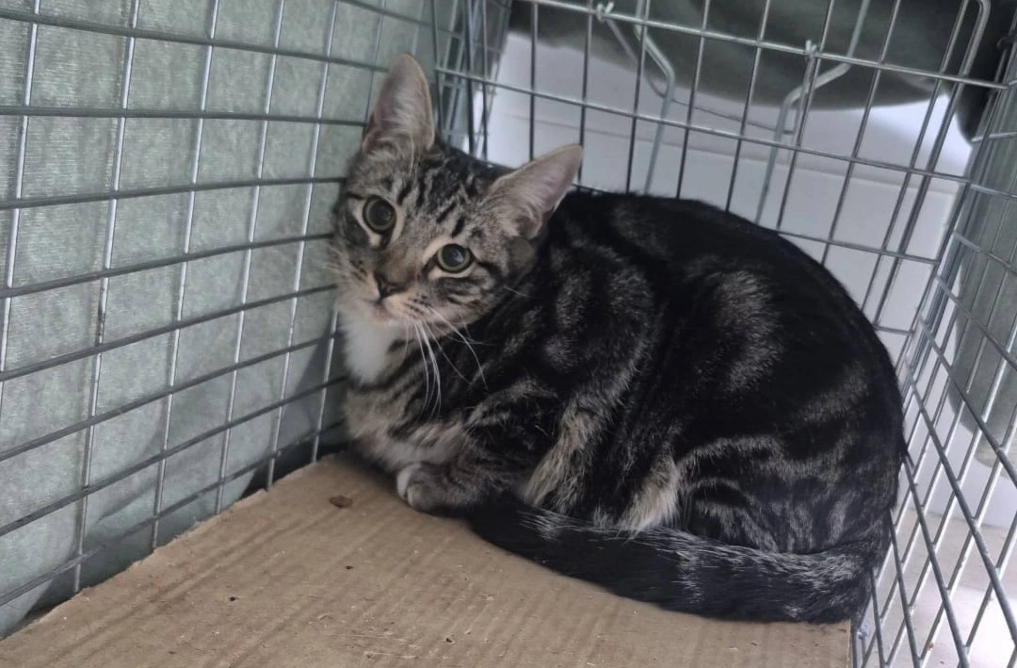 Escritorio con almacenaje