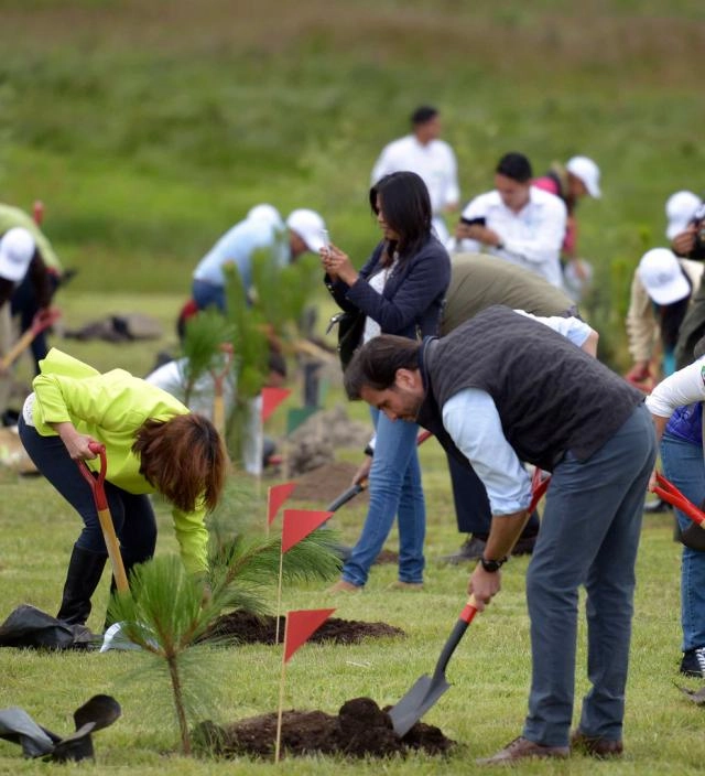 Voluntariado Ambiental: mantenimiento forestal