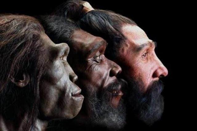 Conferencia “El origen de Homo sapiens: ¿qué sabemos y qué no sabemos?”