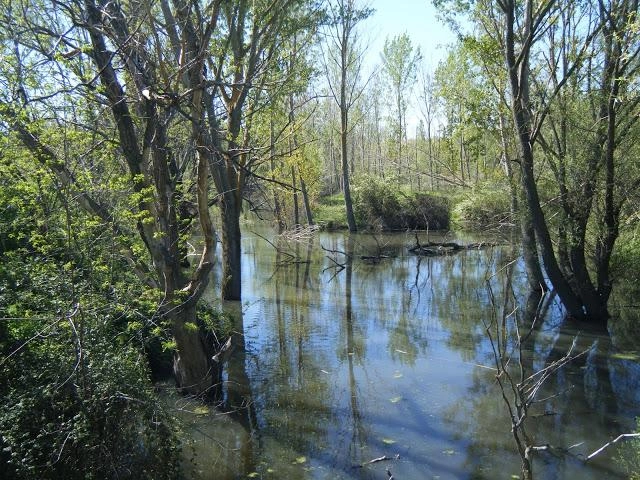 Visita al arroyo de Valchico en el MLO