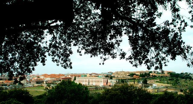 Voluntariado ambiental