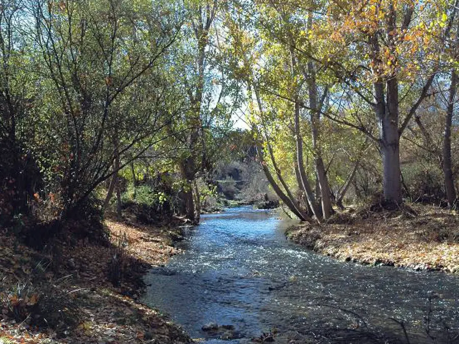 Paseo para conocer el Rio Guadarrama