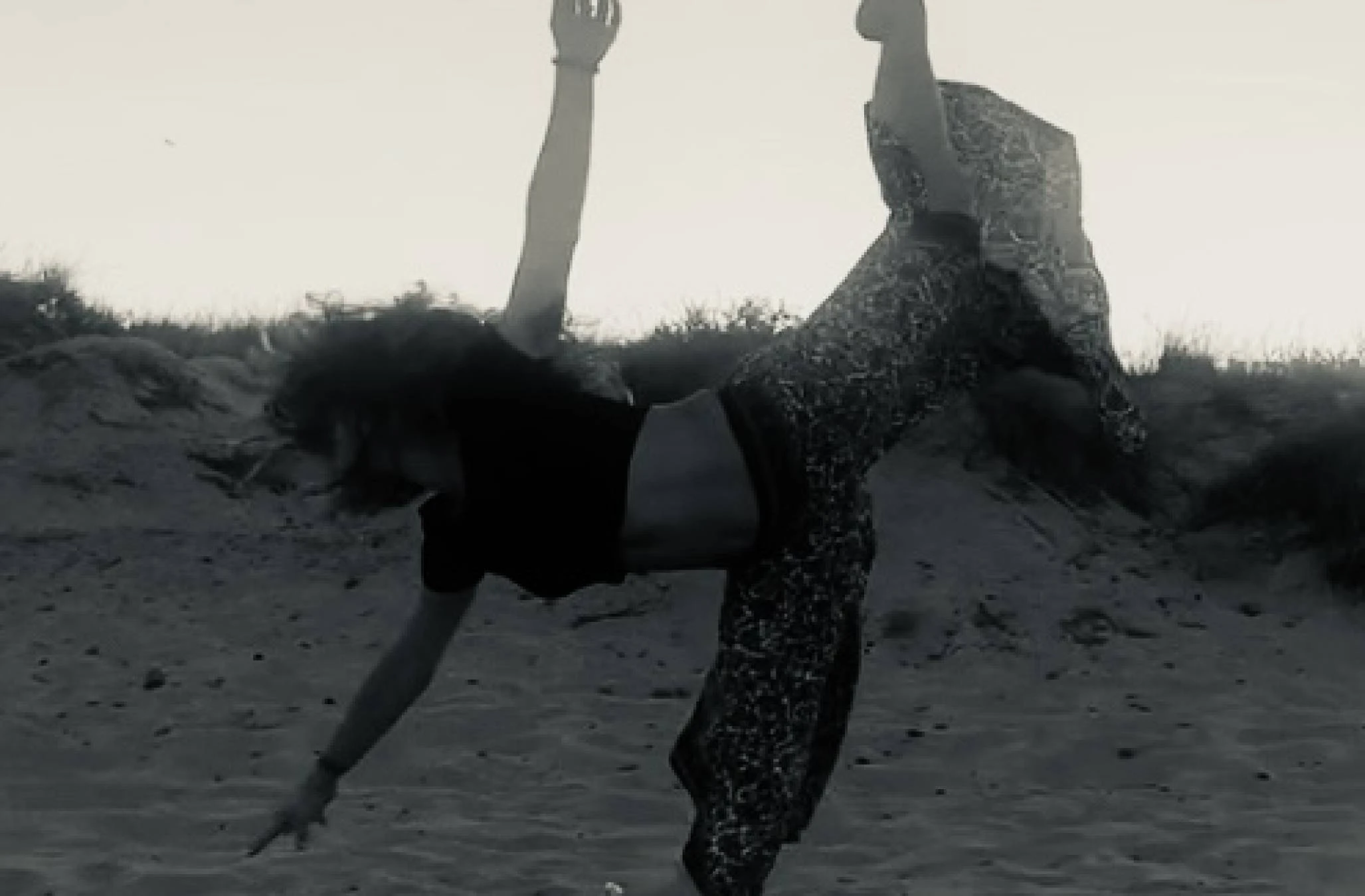 VIVIENDAS Y PROPIEDADES SIGLO XXI