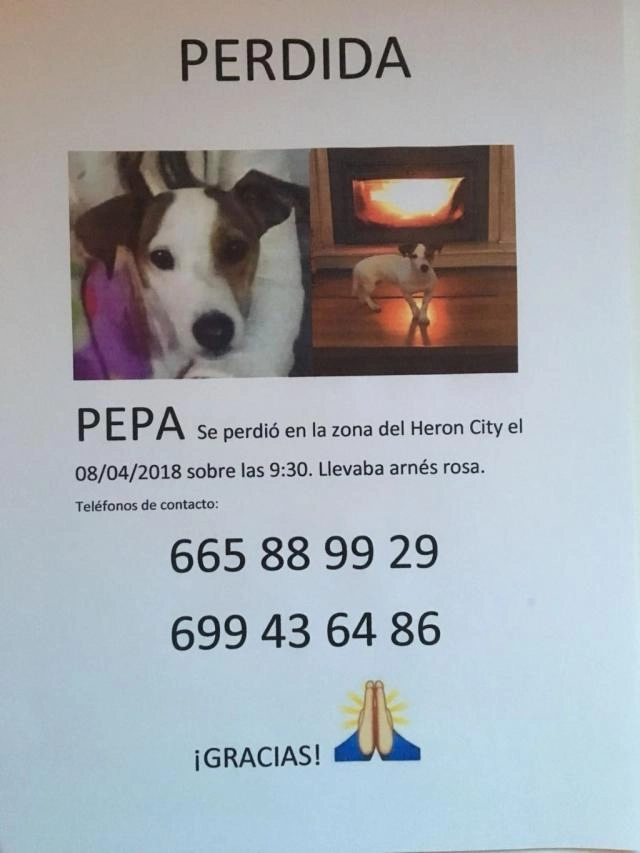 Pepa se perdió el 8/4/2018 en 