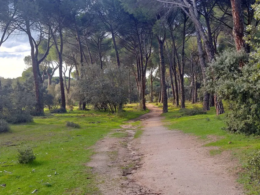 Personas de Majadahonda de 55 a 65 años